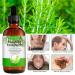 Organic Rosemary Oil 4.04 oz | Hair Growth & Skin Care | Scalp Treatment for Hair Loss | Pure & Upgraded - Buy Online on GoSupps.com