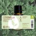 Buy Rocky Mountain Oils Citronella Essential Oil 15ml - Pure & Natural Essential Oils for Insect Repellent & Aromatherapy - Buy Online on GoSupps.com