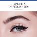 Bourjois - EyeLiner Pinceau - 01 NOIR BEAUX-ARTS (Lot de 2) - Buy Online on GoSupps.com