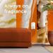 Glade PlugIns Vanilla Caramel Twist Air Freshener Refills - 1.34 Fl Oz, 2 Count - Buy Online on GoSupps.com