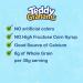 Teddy Grahams Chocolatey Chip Graham Snacks - 10 oz | Delicious and Crunchy Treat - Buy Online on GoSupps.com