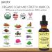 PURA DOR Organic Scar & Stretch Mark Treatment Oil | 1oz For Skin - Rosehip, Wheat Germ, Argan, Tamanu, Carrot, Rosemary, Lavender, Geranium, Patchouli, Sage - Buy Online on GoSupps.com
