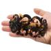 Large Barrette Hair Clip Set for Thick Hair - Tortoise Shell Pattern for Women and Girls - Buy Online on GoSupps.com