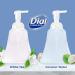 Dial Complete Antibacterial Foaming Hand Wash - Coconut Water & White Tea - 15 fl oz (Pack of 4) - Buy Online on GoSupps.com