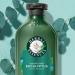 Herbal Essences Bio: Renew Aloe & Eucalyptus Conditioner - Scalp Balance 13.5 Oz | International Shipping - Buy Online on GoSupps.com