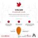 Escuminac Maple Syrup | Extra Rare Amber Rich Taste | Pure & Organic Mini Bottles - 12 x 50ml | Estate Bottled from Canada - Buy Online on GoSupps.com