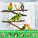 Vueinrg 5-Piece Natural Wood Bird Cage Accessories | Premium Belt Rods & Sticks for Canaries & Nymphic Birds - Buy Online on GoSupps.com
