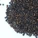 Whole Natural Dried Black Pepper Grown in India | 6.3 Oz (180 Grams) - Buy Online on GoSupps.com