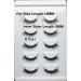 Buy DESIRES LASHES Multipack Demi Wispies Fake Eyelashes - 5 Pairs for Gorgeous Eyes | International Shipping Available - Buy Online on GoSupps.com