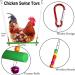 7PCS Chicken Coop Toys Set - Xylophone, Swing, Mirror, Ladder Bridge, Vegetable String Bag, Fruit Feeder - Multicolor - Buy Online on GoSupps.com