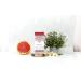 Tints of Nature Henna Cream Hair Colour - Organic Semi-Permanent Mahogany Red (70ml) - Buy Online on GoSupps.com
