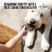 Natural Grain-Free Salmon & Liver Dog Treats - Training Treats for Puppies | Pet Craft Supply - Buy Online on GoSupps.com