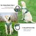 Heele Dog Crockery & Floral Green Adjustable Running Harness | Lockable Snap Anti-Train Reflective | Sizes L (43-86cm) - Buy Online on GoSupps.com