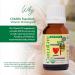 CHILDLIFE Essentials Organic Vitamin D3 Drops for Infants & Newborns - Baby Vitamin D Drops 400 IU per Liquid Drop Immune & Bone Health Support USDA Organic Flavorless - 0.21 Fl Oz (1 Pack) 0.21 Fl Oz (Pack of 1) - Buy Online on GoSupps.com