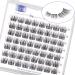 LZM individual eyelashes C curl fake lashes 8-14mm natural eyelashes Individual false eyelashes natural look artificial eyelashes DIY eyelash extensions at home cluster lashes (wishes-12mm) 1-white-c curl -12mm
