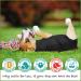 Suitical Original Recovery Suit - Professional Alternative to Dog Cone for Medium Dogs - Black - Buy Online on GoSupps.com