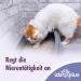 Ida Plus Renal Care Mini Sticks for Cats - Supports Kidney Health & Urine Excretion - 80 pcs - Phosphate & Uremic Toxin Control - Buy Online on GoSupps.com