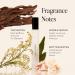 Dime Beauty Perfume Dans Les Bois 0.34 oz / 10 ml - Travel Fragrance Spray Feminine and Bold Scent Hypoallergenic Clean Perfume Eau de Toilette For Women 0.34 Ounce (Pack of 1) - Buy Online on GoSupps.com