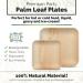 Chic Leaf Palm Leaf Plates - 48 Pc Disposable Bamboo Plates Party Pack - Compostable and Biodegradable - 10 Inch & 7 Inch Square - Eco-Friendly Alternative to Plastic and Paper Plates - Buy Online on GoSupps.com