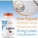 Buy Doctor's Best Lutein with OptiLut 10 mg - 120 Vegan Capsules | High Dose Carotenoid & Zeaxanthin | Soy-Free & Gluten-Free | Laboratory Tested for Quality - Buy Online on GoSupps.com