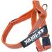 Julius-K9 Mini Orange-Grey Belt Harness S - Durable & Stylish Dog Harness for Optimal Comfort | International Shipping - Buy Online on GoSupps.com