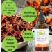 Buy Premium Star Anise Essential Oil 3.38oz (100ml) - Aromatherapy International Shipping Available - Buy Online on GoSupps.com