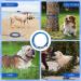 Dog Tie Out Cable and Stake 15FT Dog Runner Cable with Dog Yard Stake Long Dog Chains for Outside with Spring Dog Lead Take with Long Yard Leash Tie Out Tether for Medium Large Dogs Camping - Buy Online on GoSupps.com