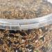 Premium Wheat Free Wild Bird Food 3L Tub - Buy Online on GoSupps.com