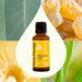 Plant Therapy Immune Aid Essential Oil Blend 30 mL (1 oz) 100% Pure Undiluted Natural Aromatherapy Natural Immune Support Fresh Scent - Buy Online on GoSupps.com