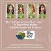 Naturtint 6N Dark Blonde Permanent Hair Color - Ammonia Free, Vegan, Cruelty Free, Long Lasting Results, Up to 100% Gray Coverage - Buy Online on GoSupps.com