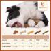 Wildfang Coffee Wood Chew Toy for Dogs & Puppies - 100% Natural Durable Splinter-Free Perfect for Pets Up to 15 kg - Buy Online on GoSupps.com