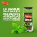 Ducros Basil 11 g - Buy Online on GoSupps.com