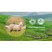 XL Wool Dryer Balls 6 Pack - 100% New Zealand Wool, Organic & Hypoallergenic Fabric Softener - Baby Safe, Unscented & Chemical Free - Reduce Wrinkles & Static Cling, Shorten Drying Time - Gray - Buy Online on GoSupps.com