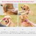 Adjustable Martingale Dog Collar - Durable No Escape Nylon for Large/Medium/Small Dogs (M Bright Pink 36-53cm) - Buy Online on GoSupps.com