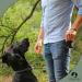 Dogster XXL Dog Treats - Quick Access Snack Bag with Carabiner | Perfect Rewards for Dogs - International Shipping Available - Buy Online on GoSupps.com