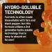 NatureWise Extra Strength Turmeric Curcumin 1000mg with Hydro-Soluble Technology for Ultra Absorption - 400mg Curcuminoids for Immune Support - Vegan Non-GMO 60 Capsules 30-Day Supply  - Buy Online on GoSupps.com