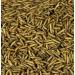 340 Grams - Dried Black Soldier Fly Larvae by Premium Feeders Dried mealworms Alternative Treats for Chicken Hens Duck Bird Quail Tortoise Fish High Calcium & Protein All Natural BSF - Buy Online on GoSupps.com