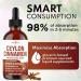 NEW AGE Ceylon Cinnamon Tincture Drops - Liquid Cinnamon Supplements for Overall Support - Cinnamomum Verum Bark Extract - Vegan, Sugar & Alcohol-Free, Non-GMO - 4 fl oz 2 Fl Oz (Pack of 2) - Buy Online on GoSupps.com