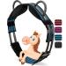Esposita riding strap with 2 leather handles for holding on for children and riders - also suitable as a lunging belt vaulting belt or as a wooden horse accessories pony blue -black