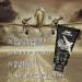 Organic Transparent Hair Scrunchie Gel & Men's Shaving Gel - Smooth Beard Grooming & Styling - Buy Online on GoSupps.com