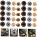 ABOOFAN 70 Pcs Christmas Wreath Decoration Pine Cones Front Door Wreaths Bouquet Flower Picks Christmas Candle Wreaths Berry Twig Stem Dried Fruit Christmas Utenciles Photo Assorted Colorx2pcs 2.2x2.2cmx2pcs - Buy Online on GoSupps.com