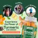 Curcumin Turmeric Gummies Extra Strength 2000mg 8:1 Extract Turmeric Supplement Gummies with Black Pepper & Ginger Vegan Non-GMO Joint Support Chewables Peach Flavor 60 Count 60 Count (Pack of 1) - Buy Online on GoSupps.com