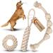 PetaTaurus Premium dog toys big dogs set: robust puppy toy made of cotton & hemp - ideal for medium to large dogs & active puppies