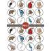 PRECUT Rainforest Animals Edible Cupcake Toppers - Jungle Animals Theme Premium Thickness SWEETENED VANILLA - wafer card disc cake decorations (Pack of 24) - Buy Online on GoSupps.com