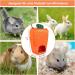 Rabbit Hay Feeder Bag Cute Carrot Guinea Pig Hay Dispenser Hanging Hay Feeder Sack Storage Pouch for Small Animals Chinchilla Bunny Hamster - Buy Online on GoSupps.com