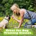 Paw Lifestyles Dog Treat Training Pouch - Grey | Pet Toy & Treat Carrier with Poop Bag Dispenser - Buy Online on GoSupps.com