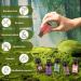Rose Lavender Sandalwood Lotus Peppermint Coconut Essential Oils Set 100% Pure Natural Fragrance Oil Gift kit for Diffuser Home Care Candle Making Aromatherapy Humidifiers 6PCS - 01 20.00 ml (Pack of 3) - Buy Online on GoSupps.com