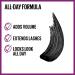 Maybelline Falsies Lash Lift Mascara - Volumizing & Washable - Very Black  0.32 Fl. Oz - Buy Online on GoSupps.com