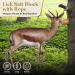 Natural Himalayan 2-3Kg Salt Lick/Natural Minerals Block With Rope for Horses Deer Goats Elk Rabbits Livestock & All Animals Pink Salt Natural Mineral (2-Pack) - Buy Online on GoSupps.com