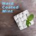 XyloBurst Xylitol Mints | Sugar Free Peppermint Breath Mints for Oral Health | Gluten Free Vegan Keto Friendly | Aspartame Free | 200 Count Jar - Buy Online on GoSupps.com